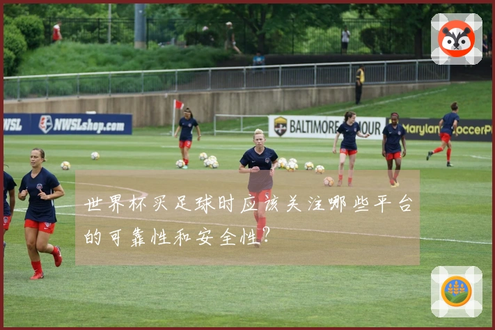 世界杯买足球时应该关注哪些平台的可靠性和安全性？