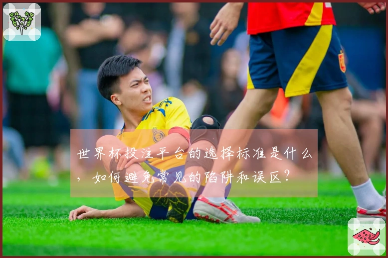 世界杯投注平台的选择标准是什么，如何避免常见的陷阱和误区？