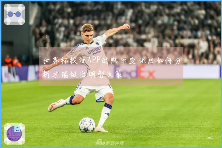 世界杯投注APP的赔率变化该如何分析才能做出明智决策