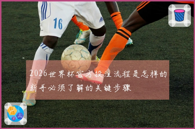 2026世界杯官方投注流程是怎样的新手必须了解的关键步骤