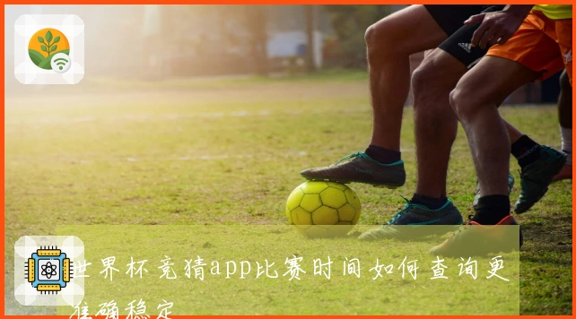 世界杯竞猜app比赛时间如何查询更准确稳定