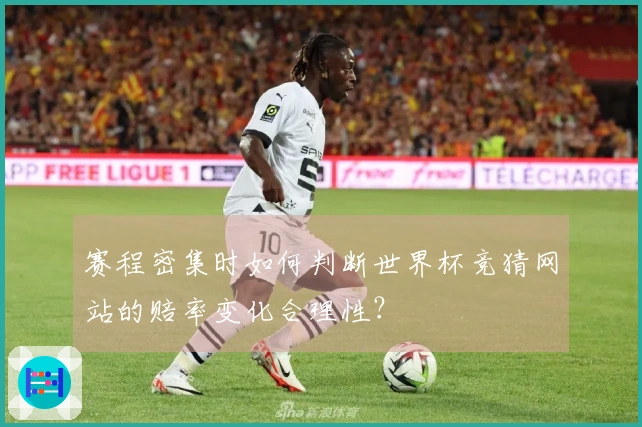 赛程密集时如何判断世界杯竞猜网站的赔率变化合理性？