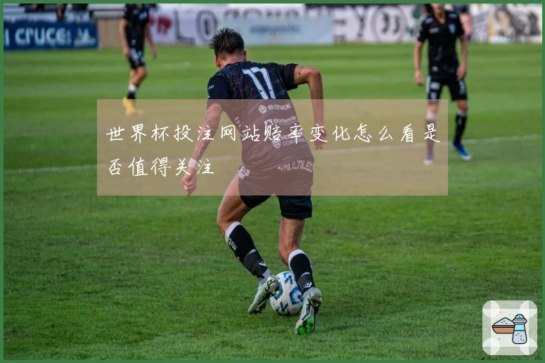 世界杯投注网站赔率变化怎么看是否值得关注
