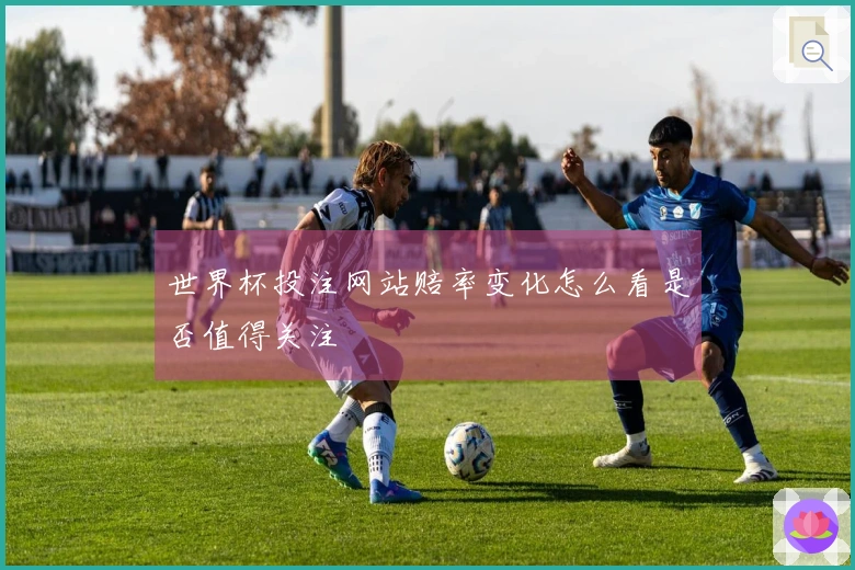 世界杯投注网站赔率变化怎么看是否值得关注