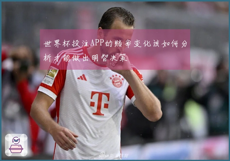 世界杯投注APP的赔率变化该如何分析才能做出明智决策